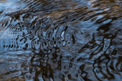 IMG4947_creek_riffles_lores