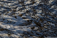 IMG4955_creek_riffles_lores