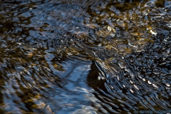 IMG4978_creek_riffles_lores