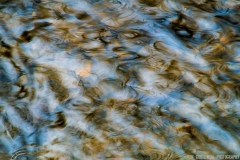 IMG5623_creek_reflections_lores