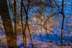 IMG6503_creek_bed_reflections_lores