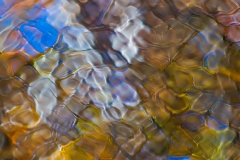 IMG6870_in_focus_lores