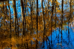 IMG6935_topsy_turvy_lores
