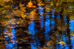 IMG6946_fall_creek_bottom_lores