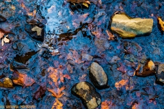 IMG8178_shallow_creek_bottom_lores