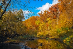 IMG_6203_fall_creek_lores
